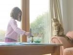 自閉症の女の子アイリスちゃんが猫の交流で症状改善