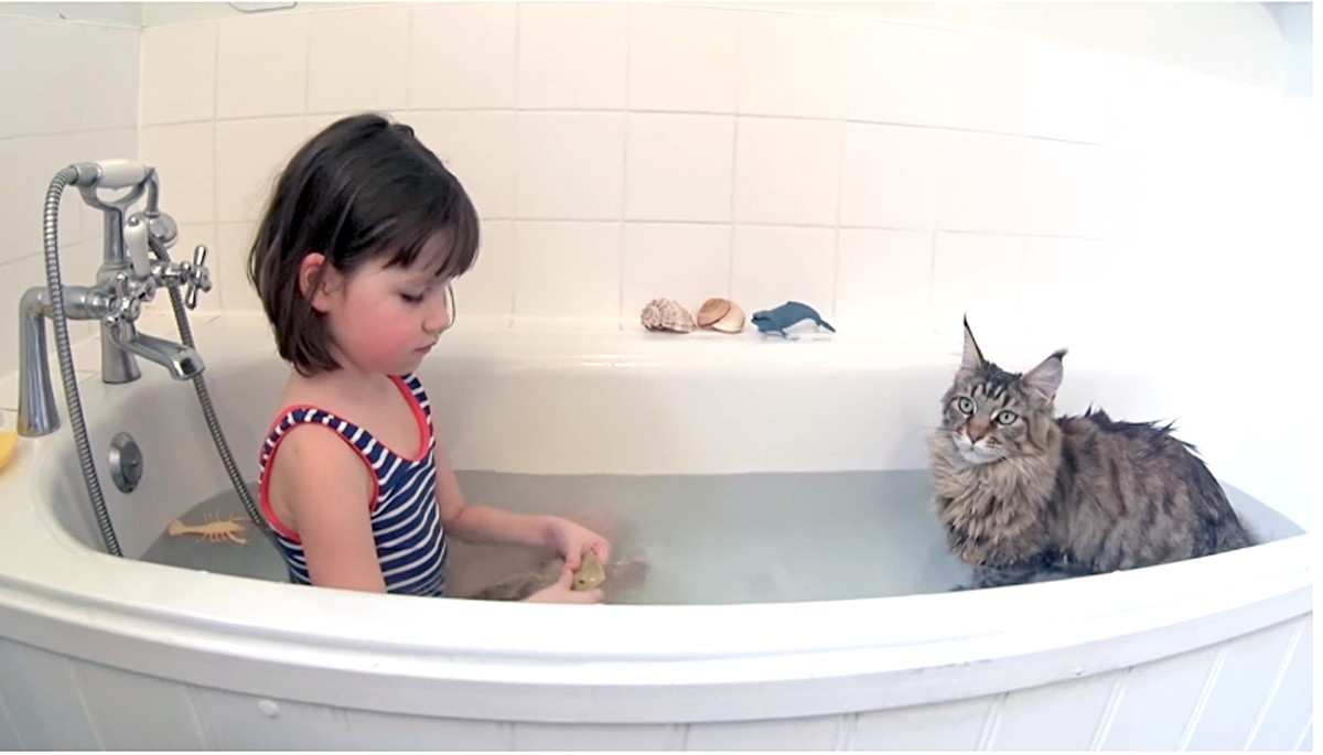自閉症の女の子が猫との交流で症状改善「全てが変わった」