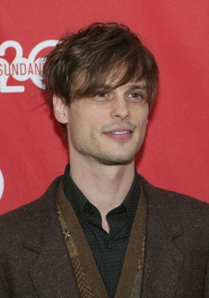 マシュー・グレイ・ギュブラー