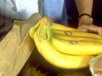 バナナの皮で本当に滑るのか…（※イメージ画像）