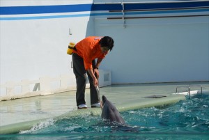 ドラマ『水族館ガール』ロケ取材会に登場した桐谷健太