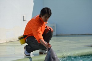 ドラマ『水族館ガール』ロケ取材会に登場した桐谷健太