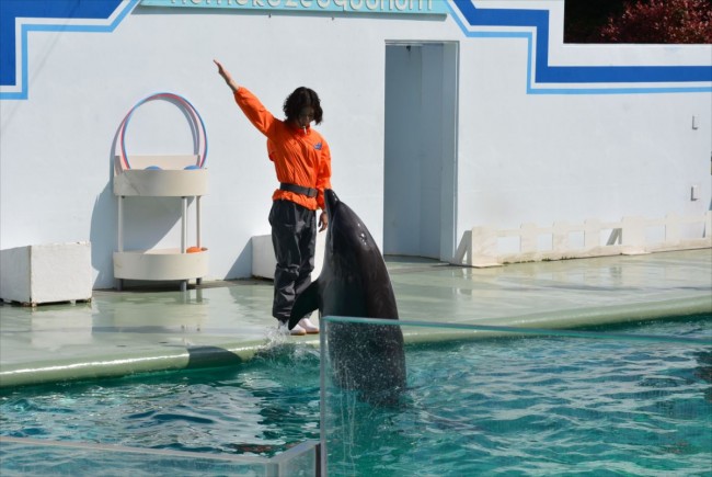 水族館ガール 写真 海外ドラマ情報 クランクイン