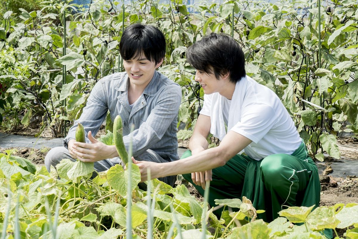 林遣都の“初恋の人”に淵上泰史！ 『にがくてあまい』追加キャスト＆ビジュアル公開