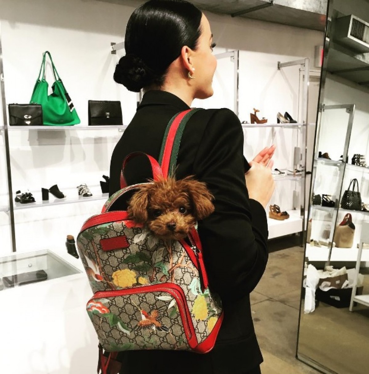 愛犬の日記念！ セレブとキュートなわんちゃん大集合