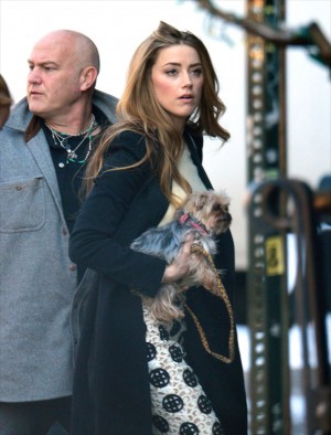 アンバー・ハード＆ピストル＆ブー