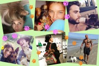 愛犬の日記念！ セレブと愛犬が大集合