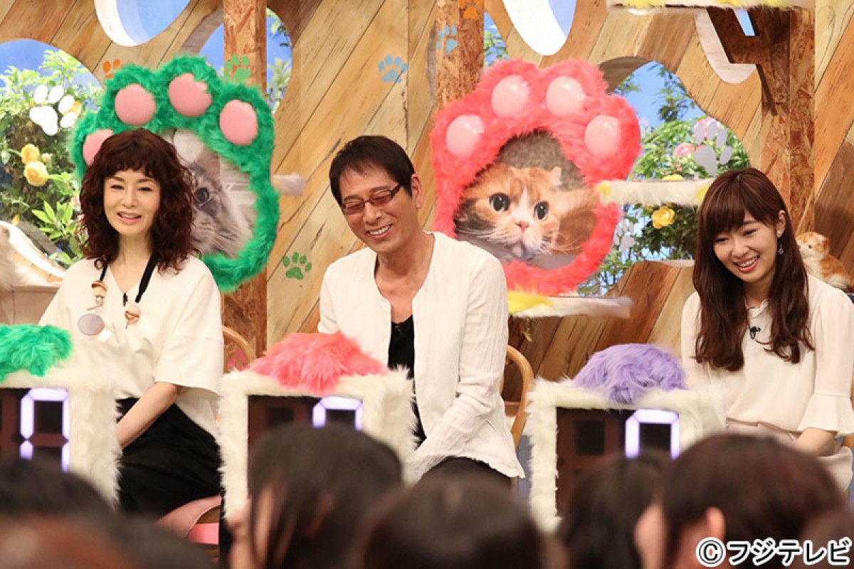 稲垣吾郎、“ねこ好き番組”MCを担当　佐藤健、指原莉乃らねこ大好き芸能人集合