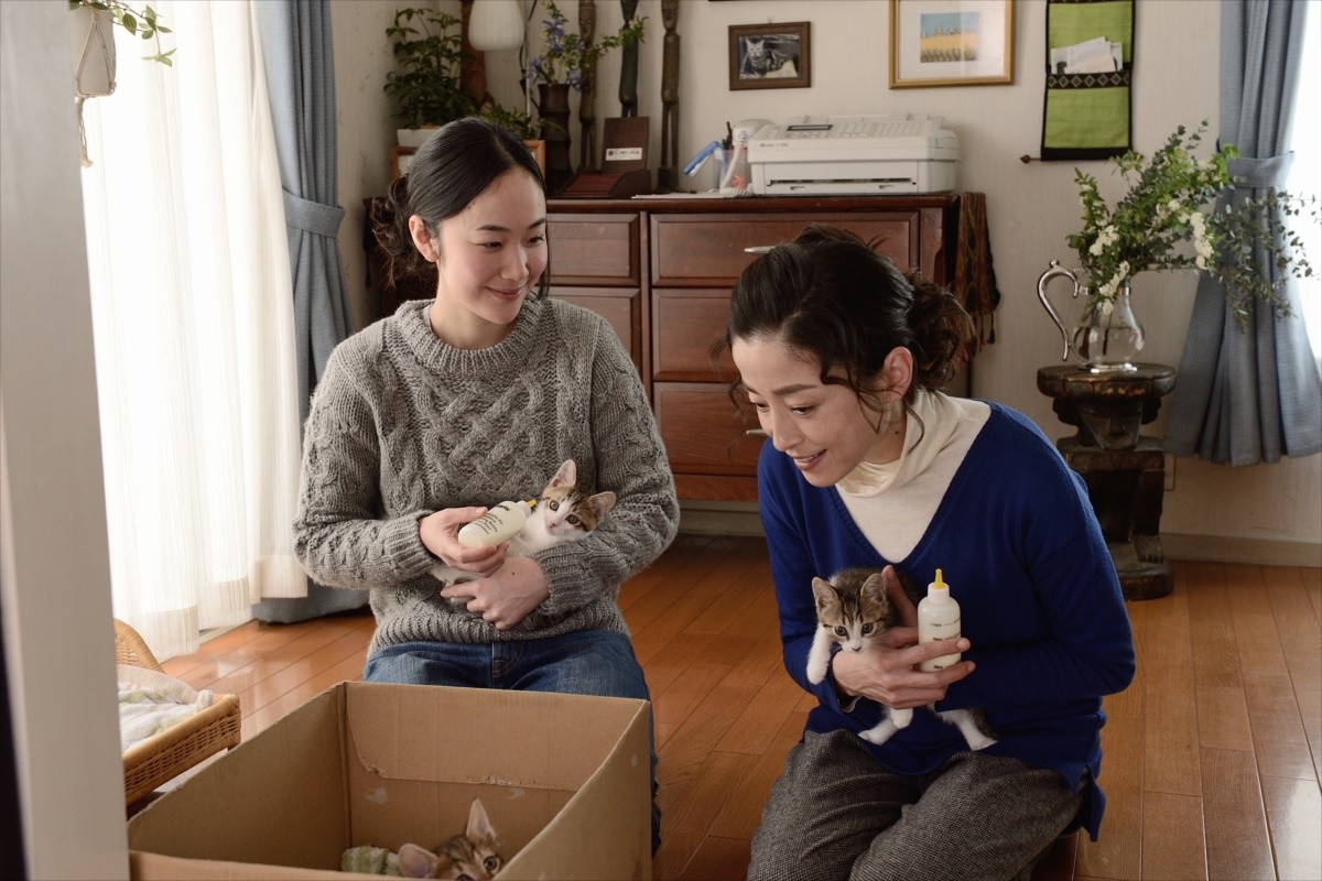 グーグー＆子猫たちにキュン！『グーグーだって猫である』激カワオフショット解禁