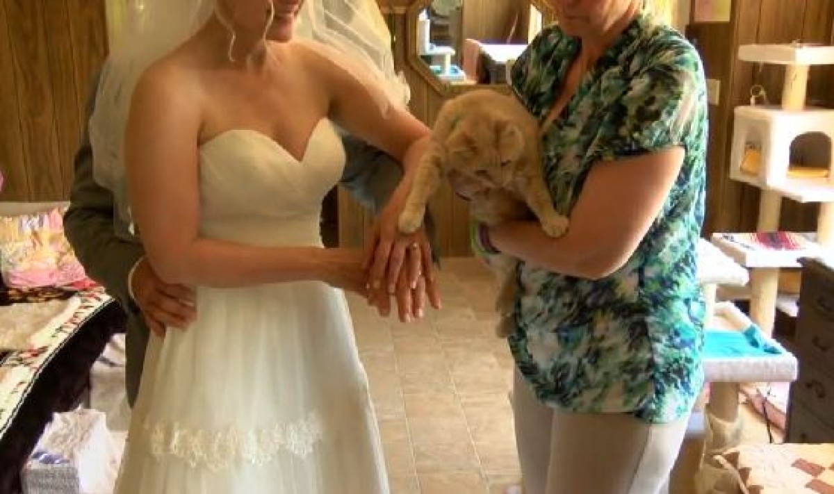 1100匹の猫の前で結婚！カナダ人カップルの珍ウェディング