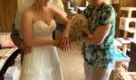 カナダ人カップル、1100匹の猫の前で結婚！