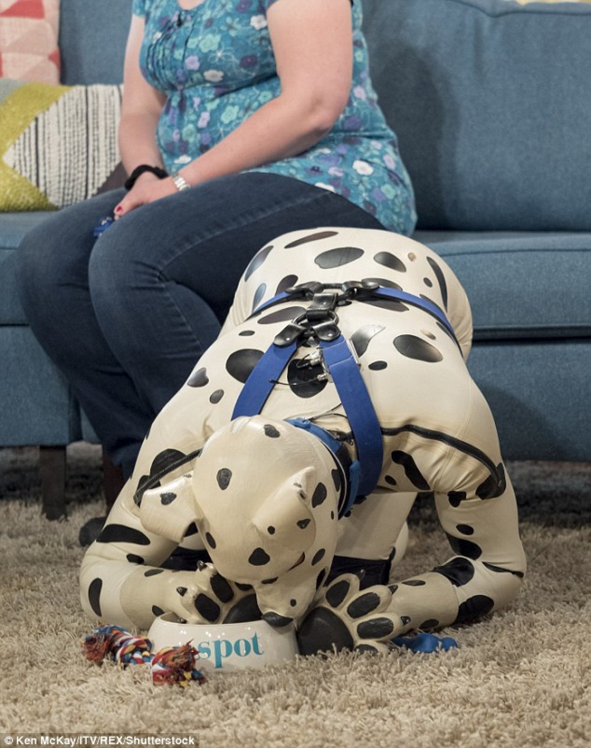 「人間に戻るのはトイレの時だけ」子犬コスプレに魅了された男