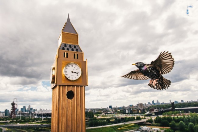 ロンドンの観光名所の形をした鳥の巣箱が登場
