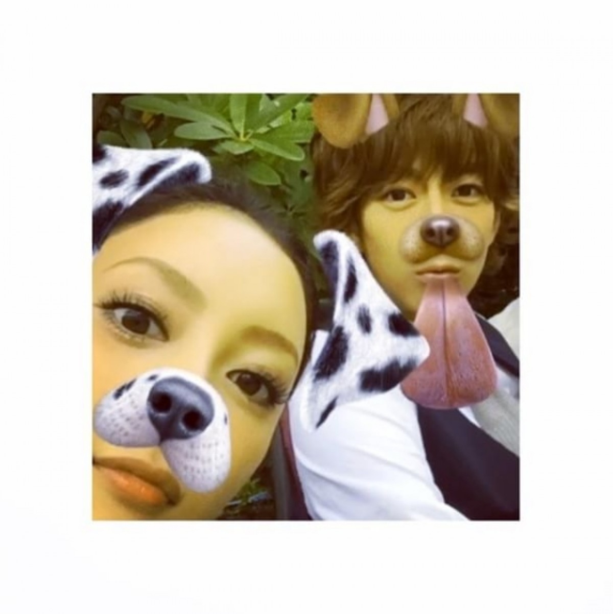 菜々緒と三浦翔平、犬になっても美男美女!