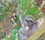 究極の自撮りテク！ ナマケモノとのセルフィーに癒される～