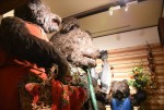 「三鷹の森ジブリ美術館」化粧直し特別内覧会の様子
