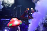 『ドラゴンクエスト ライブスペクタクルツアー』プレビュー公演写真
