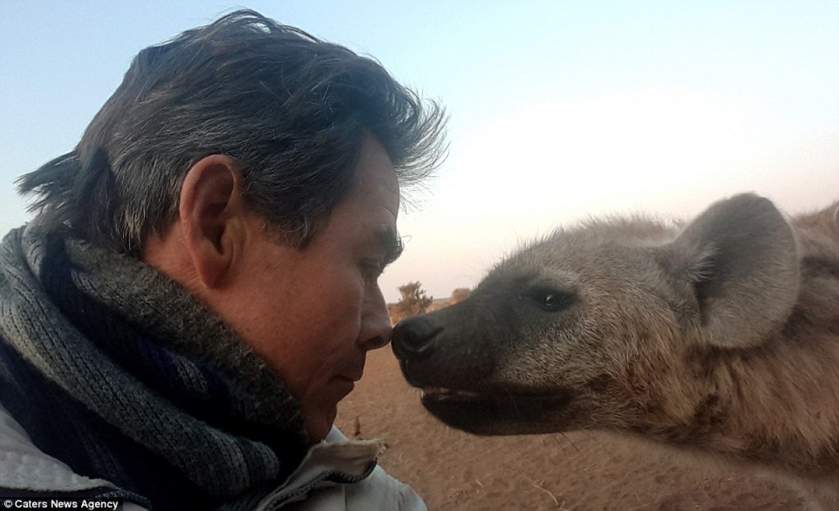 サメと一緒に…マグマの上で…命がけな超危険セルフィーの数々