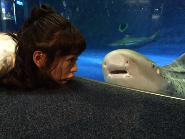 桐谷美玲、水族館でサメと新たな友達に！