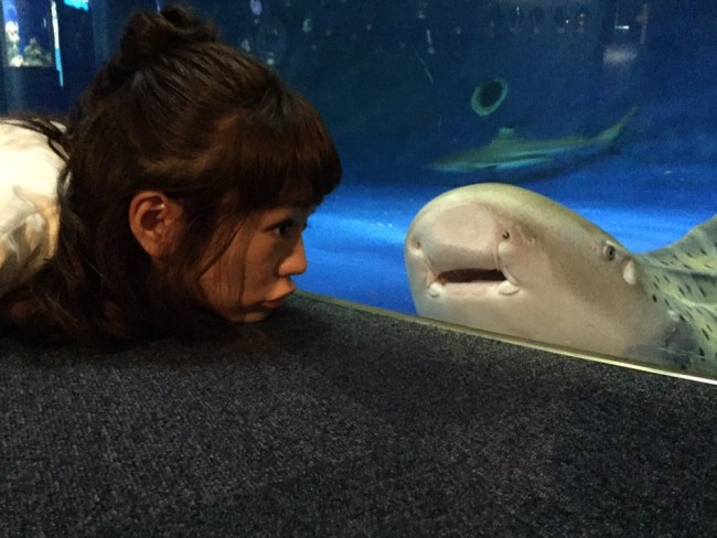 桐谷美玲、水族館でサメと新たな友達に！