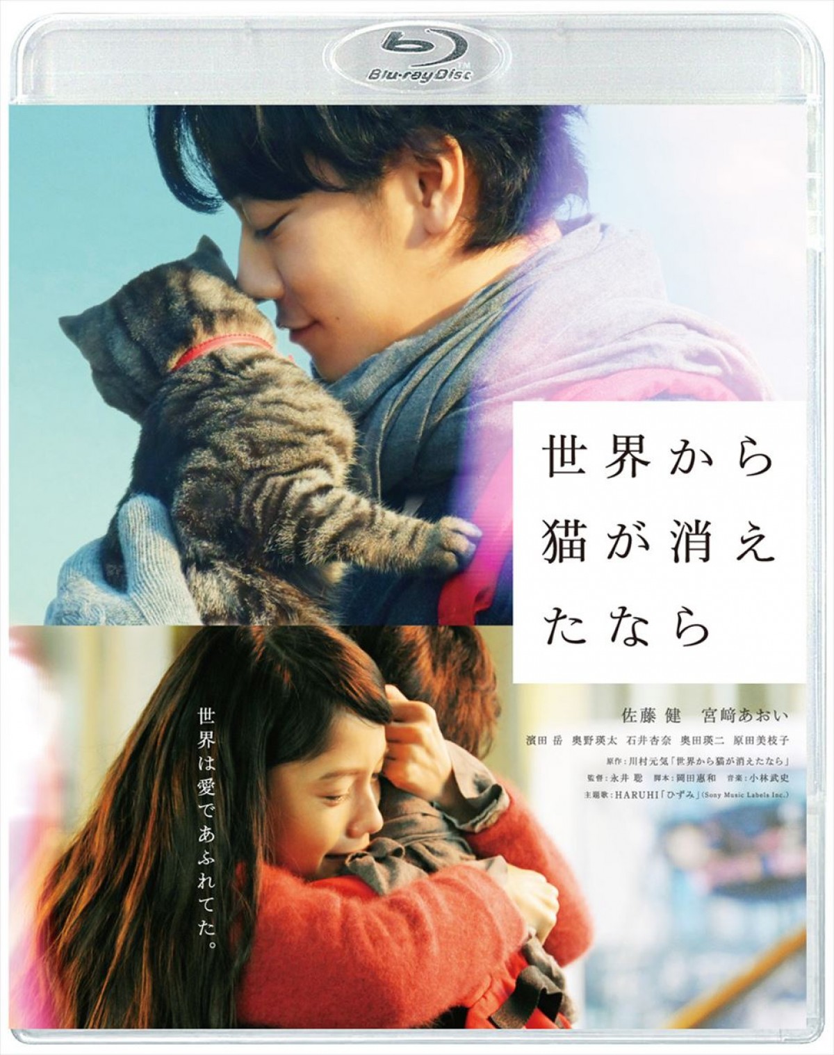 佐藤健、映画『せか猫』の撮影を振り返る「俳優人生の中でも特別な勝負作」