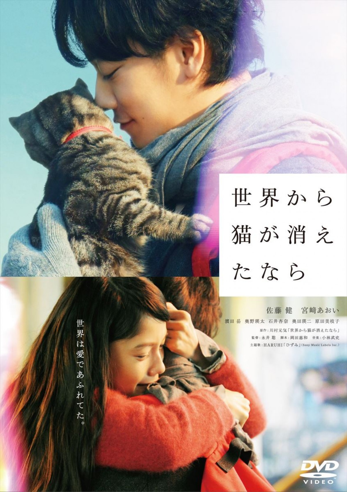 佐藤健、映画『せか猫』の撮影を振り返る「俳優人生の中でも特別な勝負作」