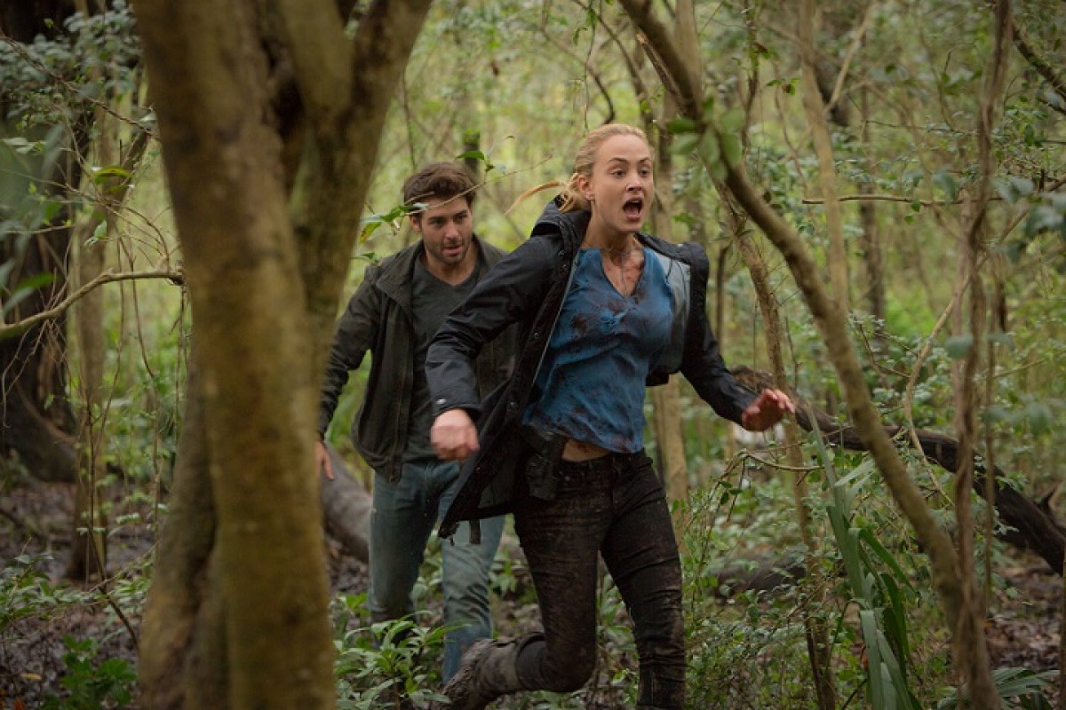 全動物vs人類、未体験の全面対決に世界が驚愕！ 衝撃パニック『ZOO』DVD発売決定