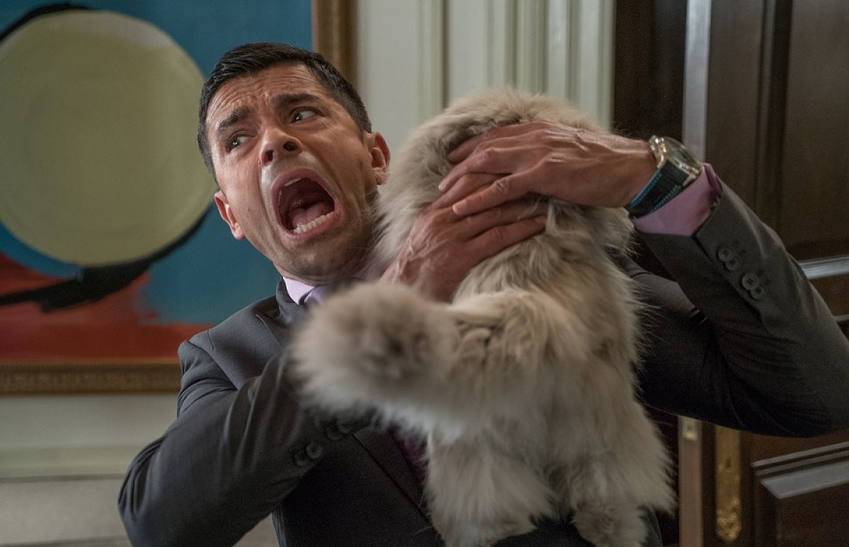 オスカー俳優が、突然ネコに!?『メン・イン・キャット』公開決定