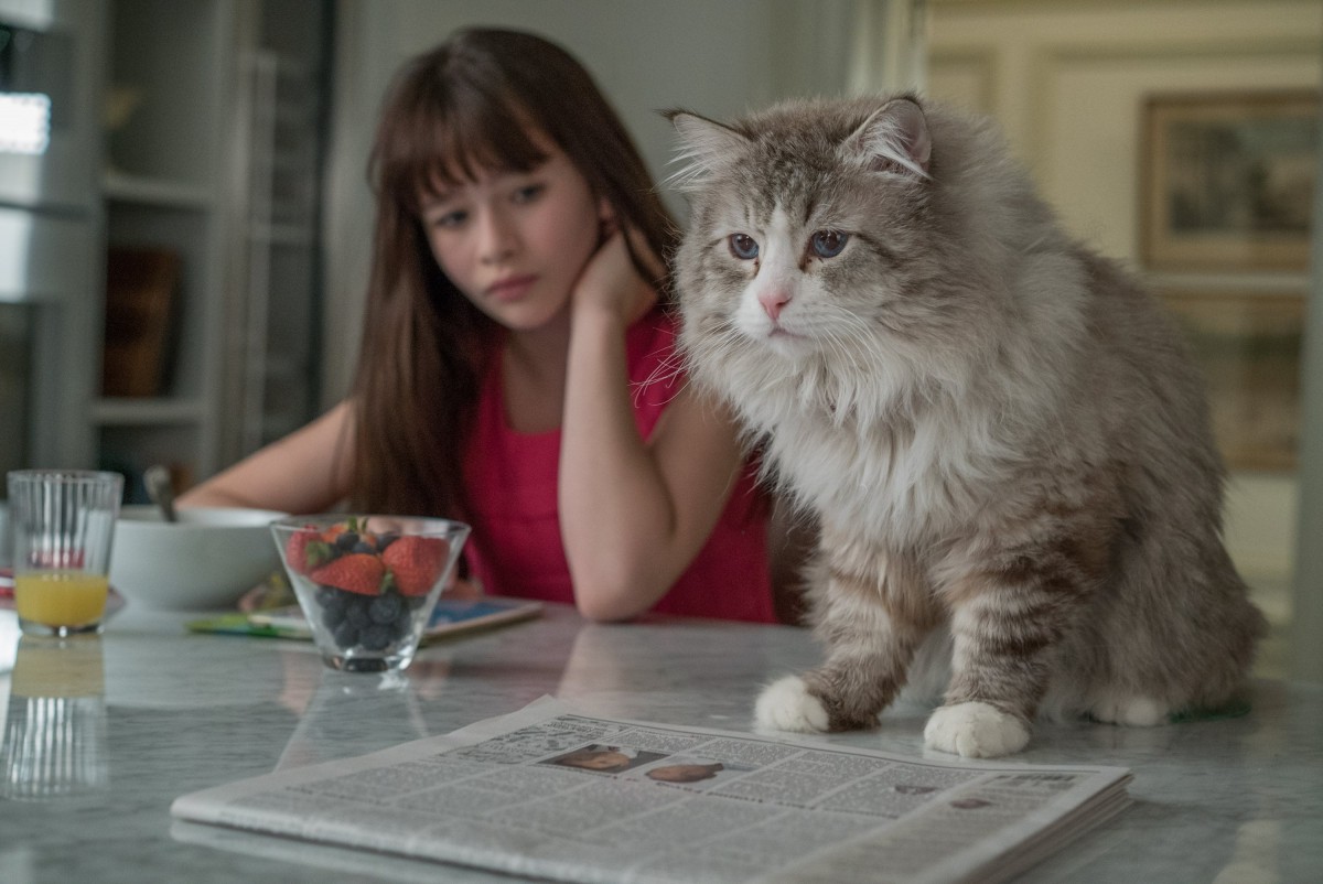 オスカー俳優が、突然ネコに!?『メン・イン・キャット』公開決定