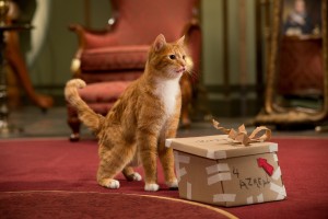 猫用の音楽アルバムが英でリリース 「猫にもお気に入りの音楽がある」