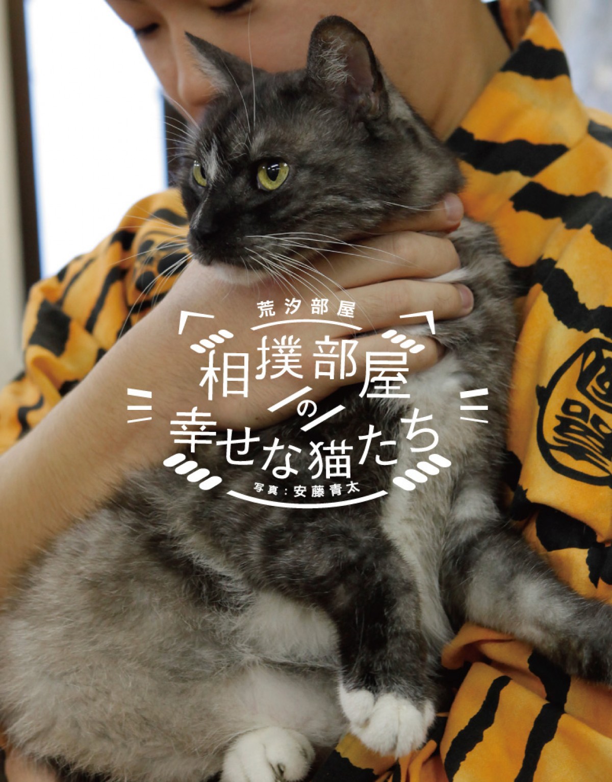 力士と猫の姿に癒される！相撲部屋に暮らす猫たちの写真集発売　