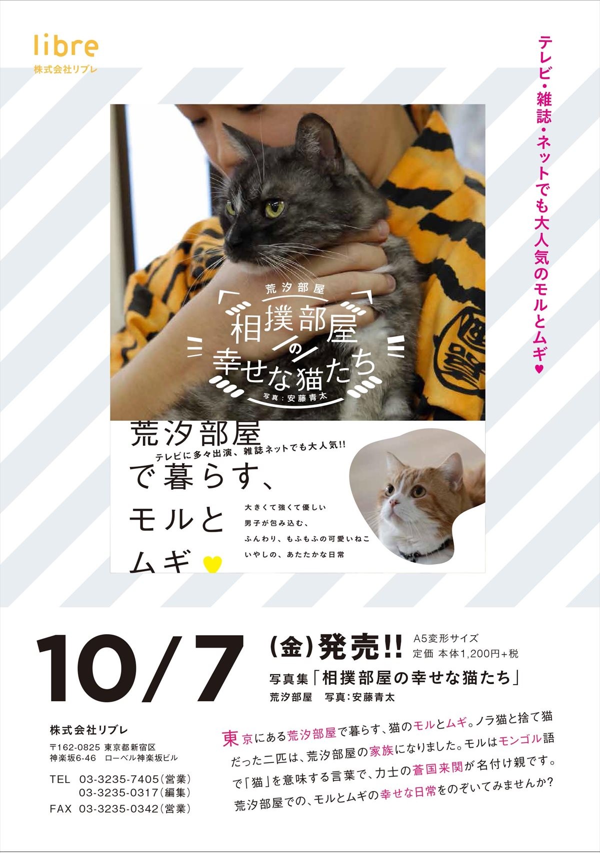 力士と猫の姿に癒される！相撲部屋に暮らす猫たちの写真集発売　