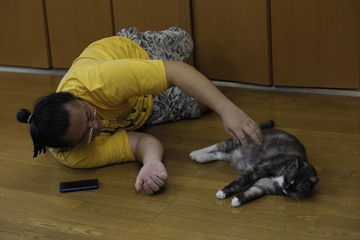 力士と猫の姿に癒される！相撲部屋に暮らす猫たちの写真集発売　