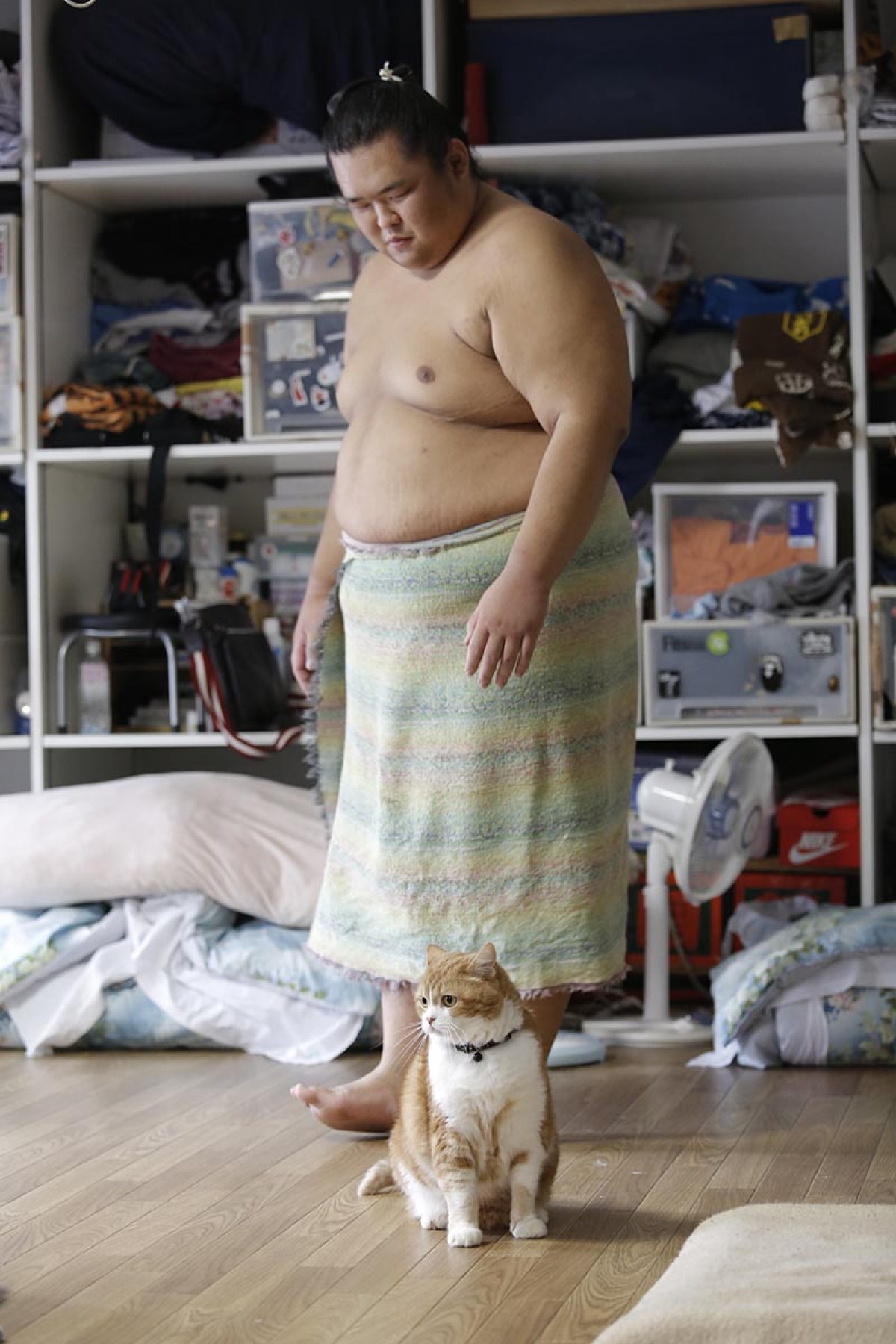 写真集「相撲部屋の幸せな猫たち」発売決定!