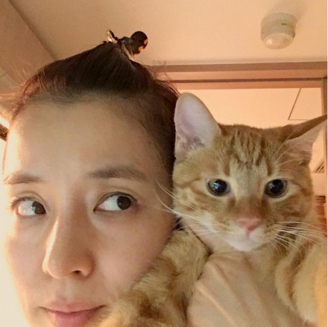 石田ゆり子、愛する猫で”暖をとる”朝の姿