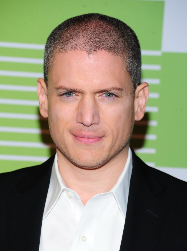 ウェントワース・ミラー、Wentworth Miller