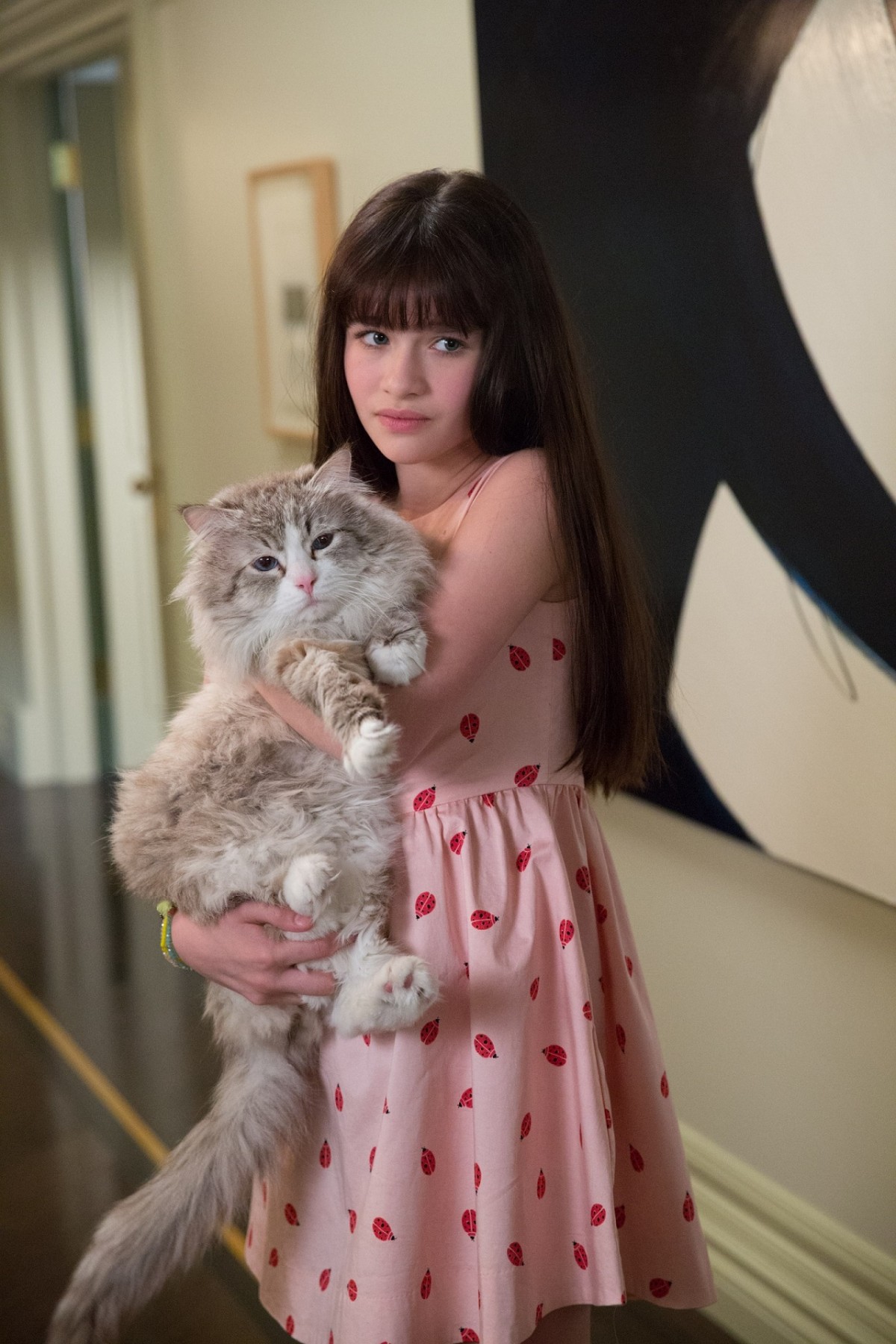 “おっさん猫”とヒロインの少女に胸キュン！『メン・イン・キャット』新場面写真
