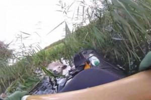 溺れている羊を発見！乗っていたカヤックから救出