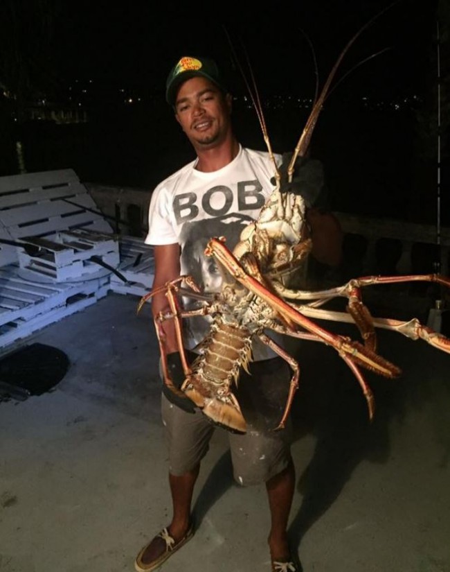 まるで地球外生物 モンスター級巨大ロブスターを捕獲 16年10月24日 写真 気になる ニュース クランクイン まるで地球外生物 モンスター級巨大ロブスターを捕獲 16年10月24日 写真 気になる ニュース クランクイン