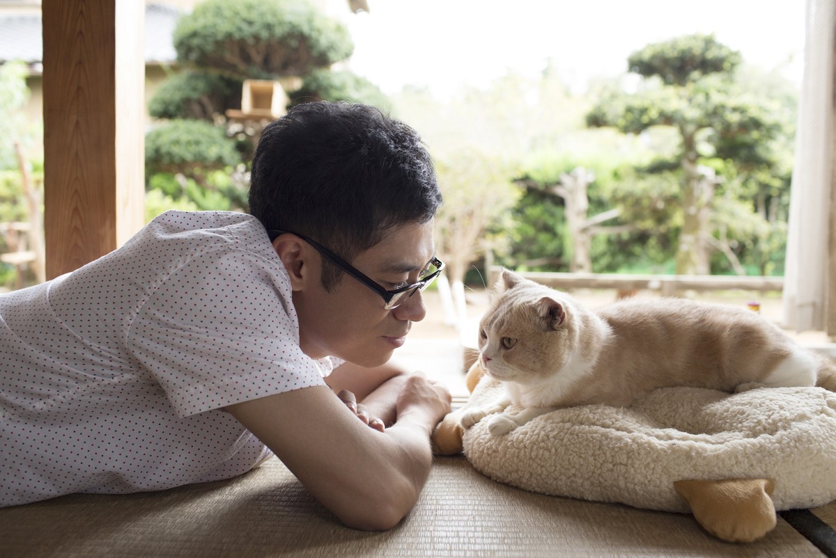 ゲームアプリ『ねこあつめ』実写映画化決定! 伊藤淳史主演で2017年公開