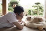 ゲームアプリ『ねこあつめ』実写映画化決定！  伊藤淳史主演で2017年公開