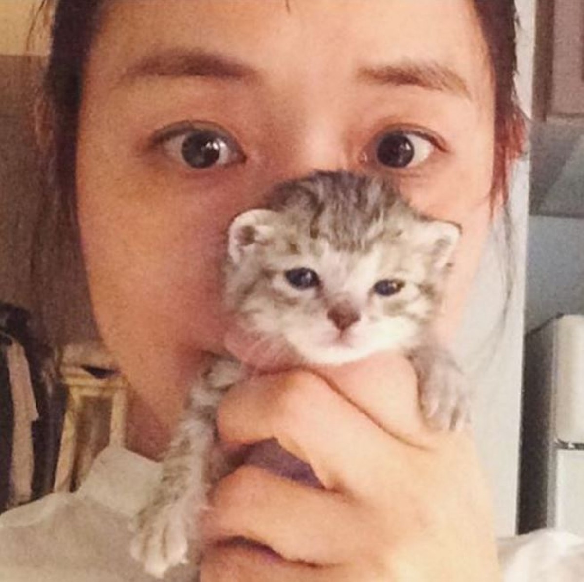 石田ゆり子&子猫、癒しのツーショットに反響「驚異的な可愛さ」