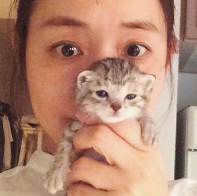石田ゆり子 子猫 癒しのツーショットに反響 驚異的な可愛さ 16年11月16日 エンタメ ニュース クランクイン