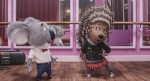 アニメーション映画『SING／シング』場面写真