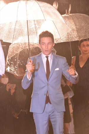 『ファンタスティック・ビーストと魔法使い の旅』ジャパンプレミアに出席した、エディ・レッドメイン