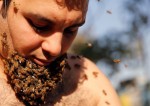 ミツバチのあごひげ！半裸のエジプト人養蜂家「ハチは攻撃的ではない」