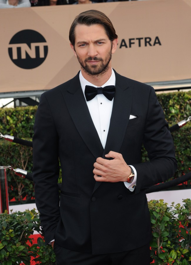 ミキール・ハースマン、Michiel Huisman