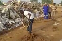  匠の技！威嚇するヘビをキャッチし眠らせる達人の衝撃映像とは？