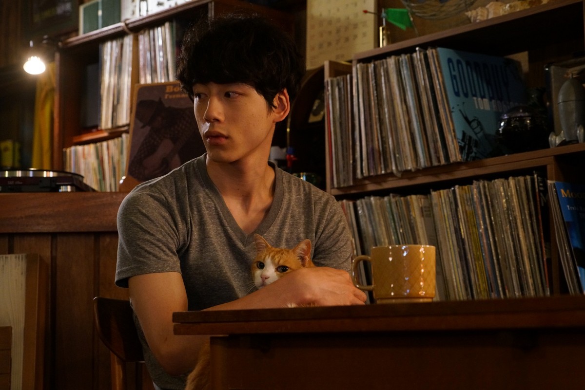 坂口健太郎、『君と100回目の恋』で猫男子に仲間入り！ 胸きゅんワンシーン公開