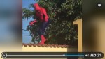 イスラエルに現れたひょうきんスパイダーマン！屋根を破壊